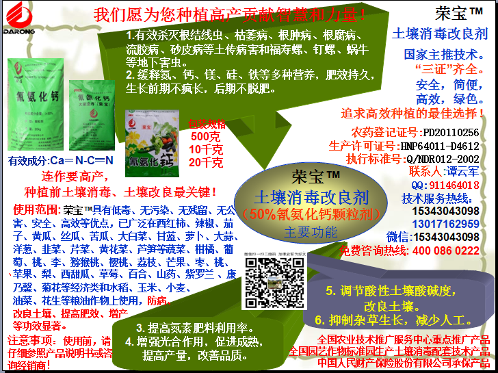 榮寶（氰氨化鈣）顆粒殺菌劑，土壤消毒、緩釋氮鈣營(yíng)養(yǎng)、肥料增效、土壤改良四效合一，殺滅根結(jié)線(xiàn)蟲(chóng)，防治根腫病、根腐病、枯萎病、流膠病、蓮藕腐敗病等土傳病害，殺滅福壽螺、釘螺等地下害蟲(chóng)，解決連作障礙